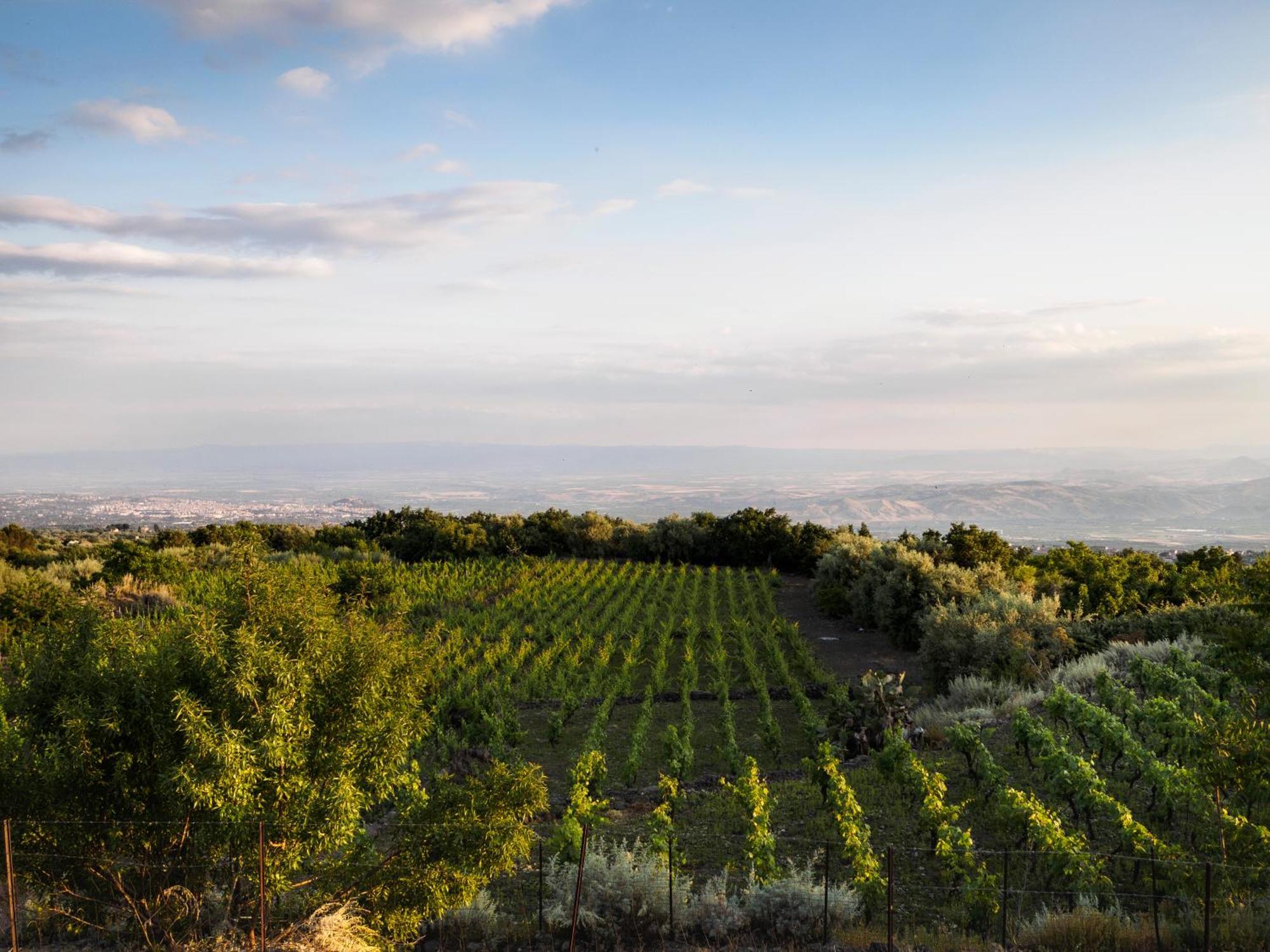 Podere Dell'Etna Segreta - Essential Nature Hotel & Glamping Biancavilla Εξωτερικό φωτογραφία